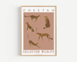 Affiche Cheetah - Maison Célestine