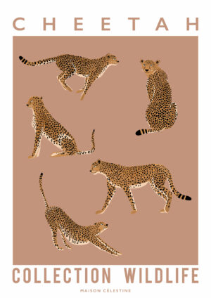 Affiche Cheetah - Maison Célestine