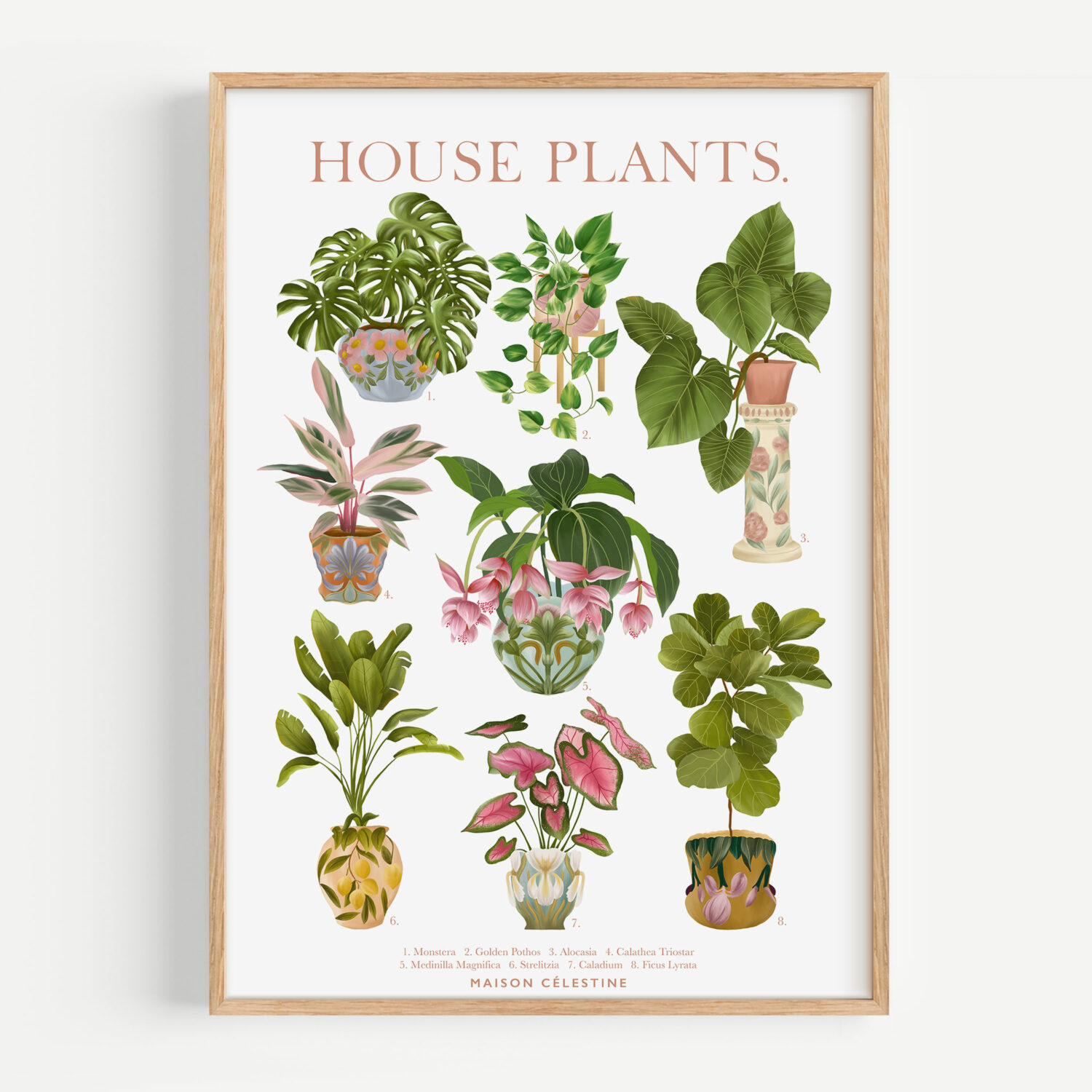 Affiche House Plants - Maison Célestine