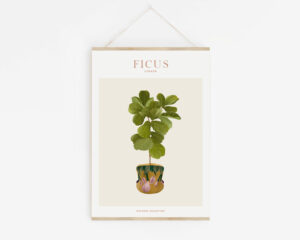 Affiche "House Plants" Ficus Lyrata - Maison Célestine