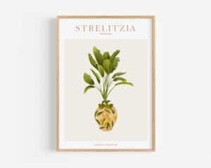 Affiche "House Plants" Strelitzia Reginae - Maison Célestine