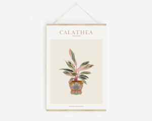 Affiche "House Plants" Calathea Triostar - Maison Célestine