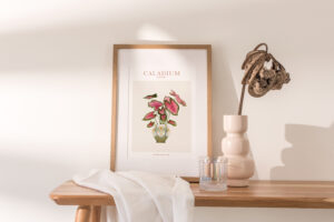 Affiche "House Plants" Caladium - Maison Célestine