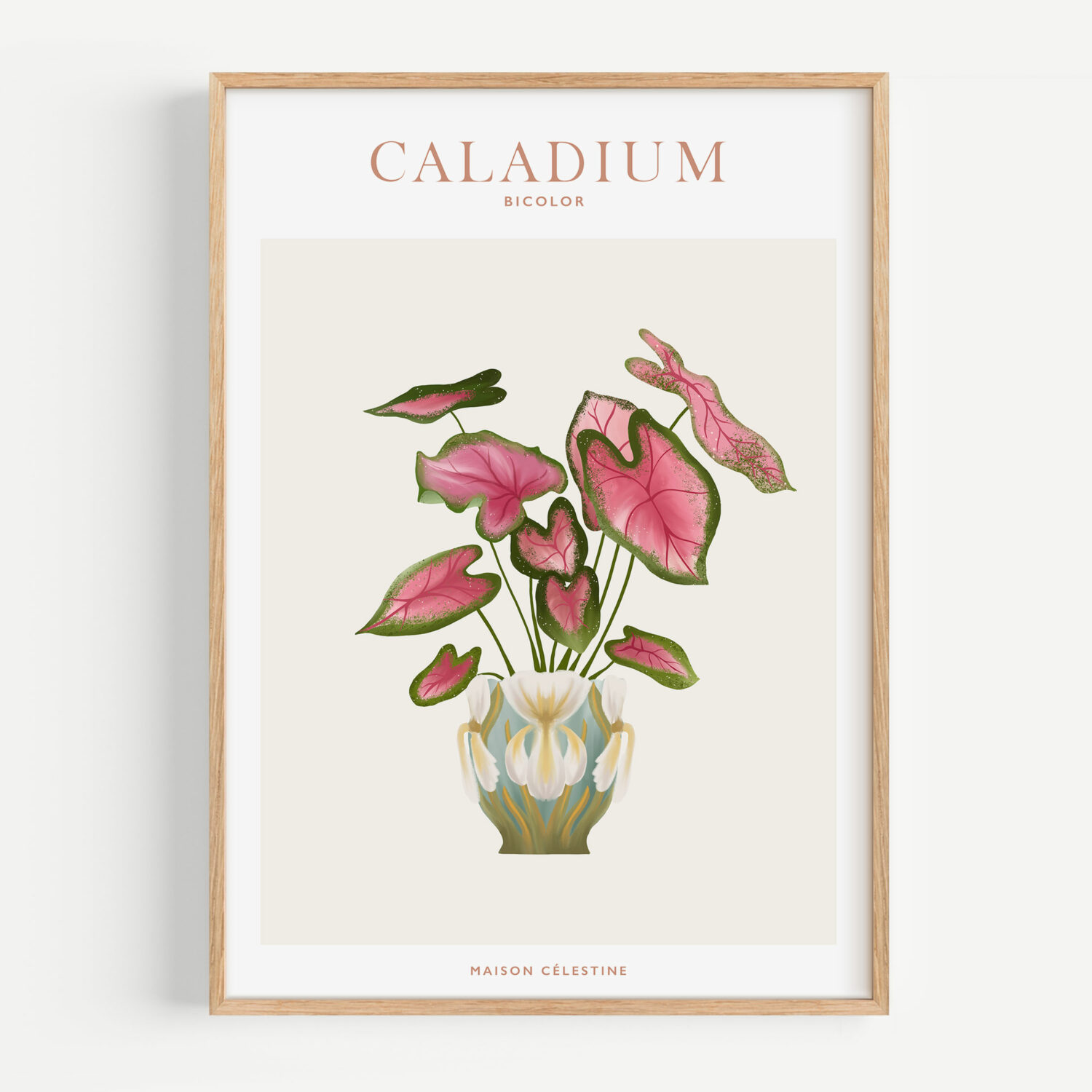 Affiche "House Plants" Caladium - Maison Célestine