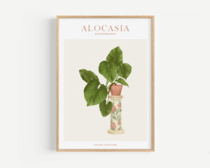 Affiche "House Plants" Alocasia - Maison Célestine