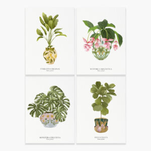 Set de cartes House Plants - Maison Célestine