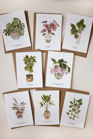 Set de cartes House Plants - Maison Célestine