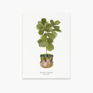 Carte House Plants Ficus Lyrata - Maison Célestine