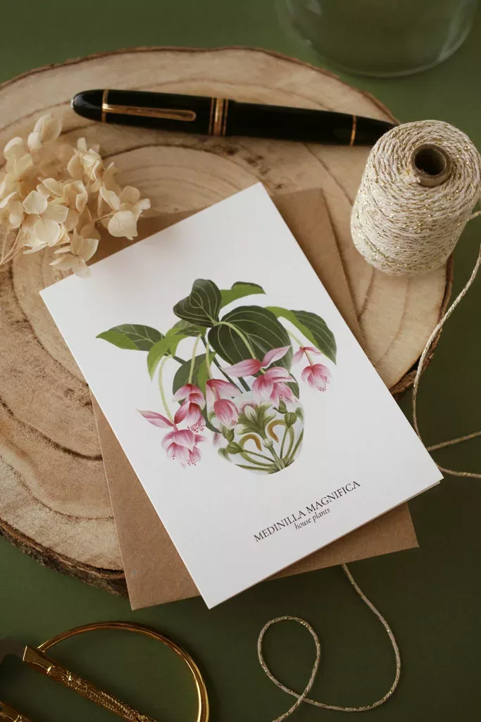 Carte House Plants Medinilla Magnifica - Maison Célestine