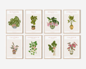 Set de 8 affiches House Plants- Maison Célestine