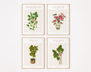Set de 8 affiches House Plants- Maison Célestine