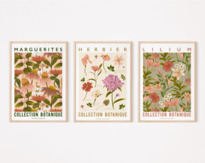 Trio d'affiches botaniques - Maison Célestine