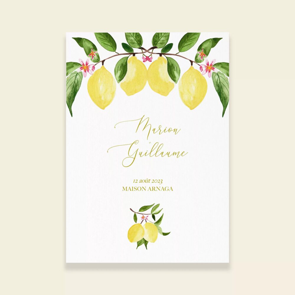 Couverture livret de cérémonie de mariage citrons - Un Amour de Citron - Maison Célestine