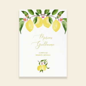 Couverture livret de cérémonie de mariage citrons - Un Amour de Citron - Maison Célestine