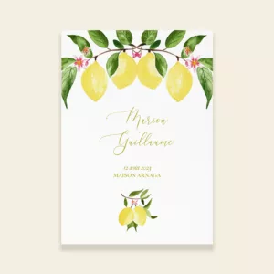 Couverture livret de cérémonie de mariage citrons - Un Amour de Citron - Maison Célestine