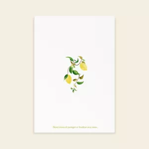 Couverture livret de cérémonie de mariage citrons - Un Amour de Citron - Maison Célestine