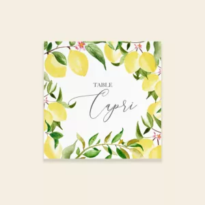 Numéro/nom de table de mariage citrons - Un Amour de Citron - Maison Célestine