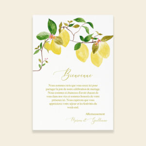 Carton welcome bag mariage citrons - Un Amour de Citron - Maison Célestine