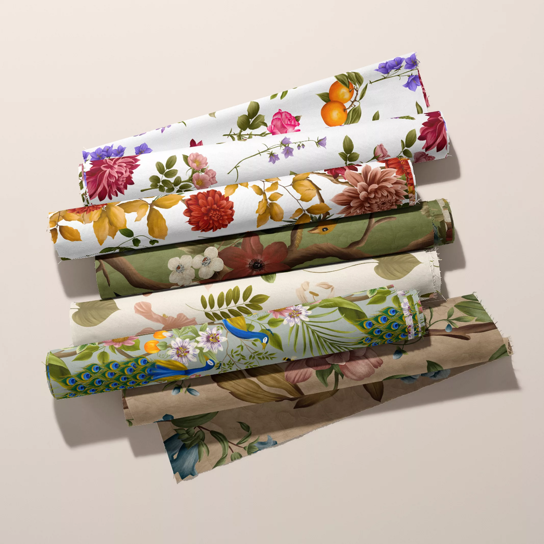 illustration maison celestine graphiste pays basque